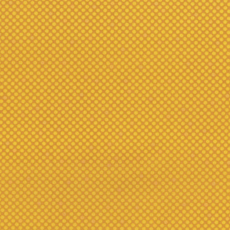 Dot Com: Sunflower