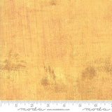 Grunge Basics: Elafin