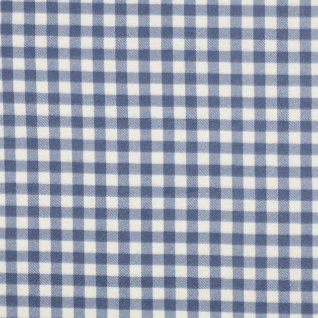 Flannel: Checks in Blue
