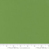Bella Solids: Fresh Grass