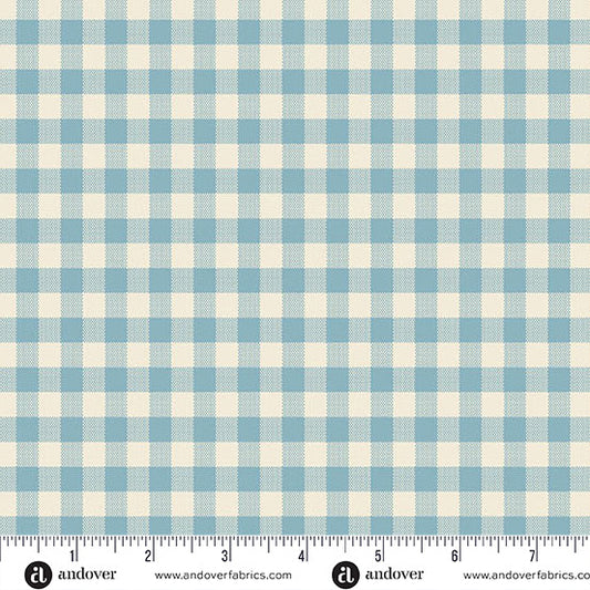 Special Delivery: Gingham in Chambray