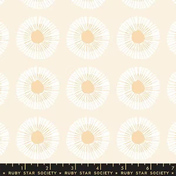 Reimagined Landscapes: Seaside Daisy in Natural