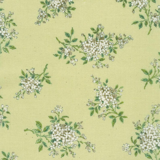 Petite Nostalgia Shirting in Floral Custard