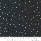 Shimmer in Metallic Ebony