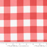 Sunwashed: Gingham in Red