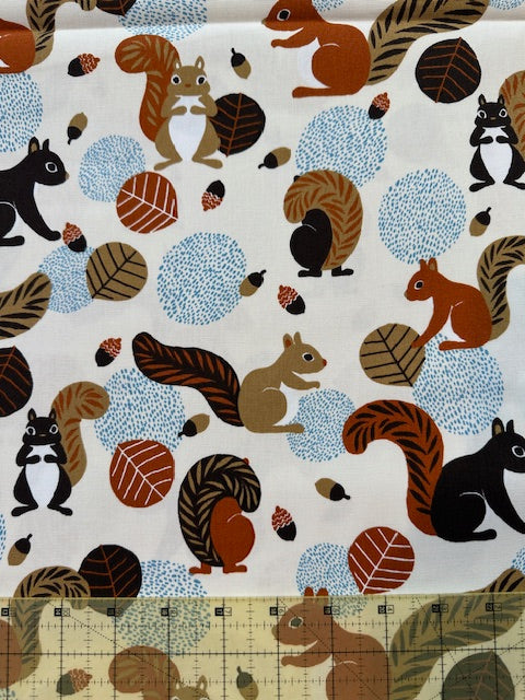 Cotton Oxford in Squirrels