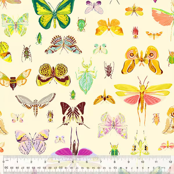 Insectarium: On Display in Light