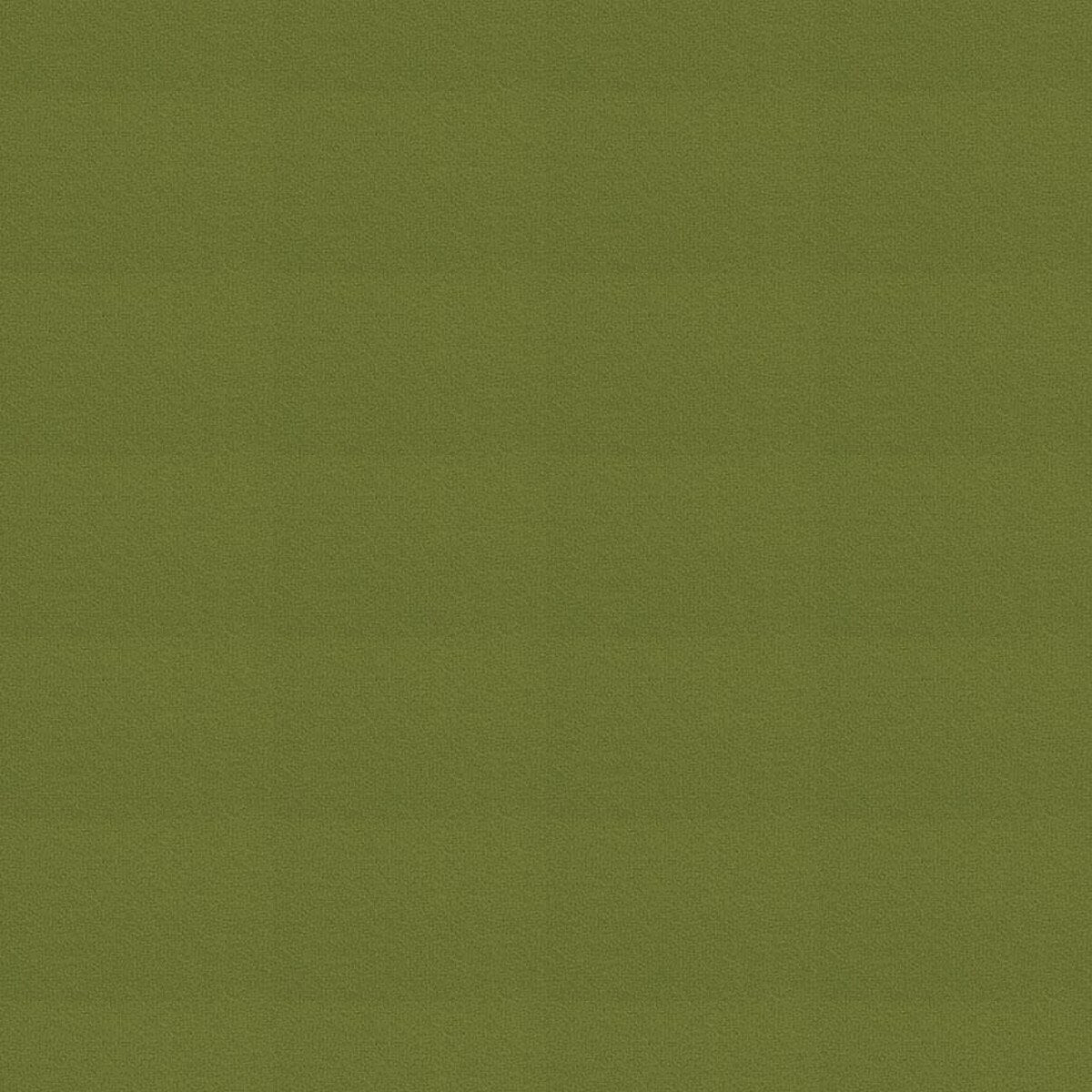 Wool by Riley Blake Designs: Parsley