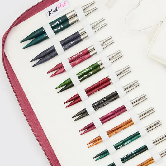 Dreamz Regal Interchangeable Needle Set - 4", Sizes 2.5-11