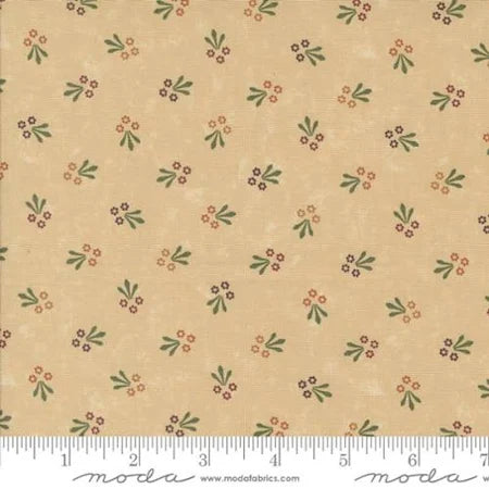 Daisy Lane: Trio of Blooms