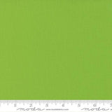 Bella Solids: Sprout