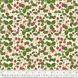 Under the Canopy: Strawberry Fields in Ivory