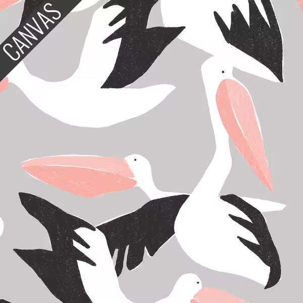 Canvas Collective: Pelicans