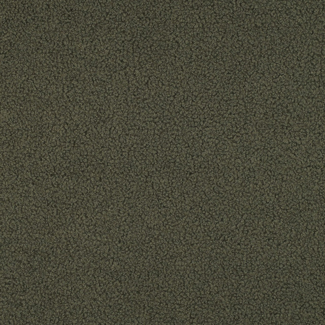 Teddy Fleece Double-Sided in Pickle