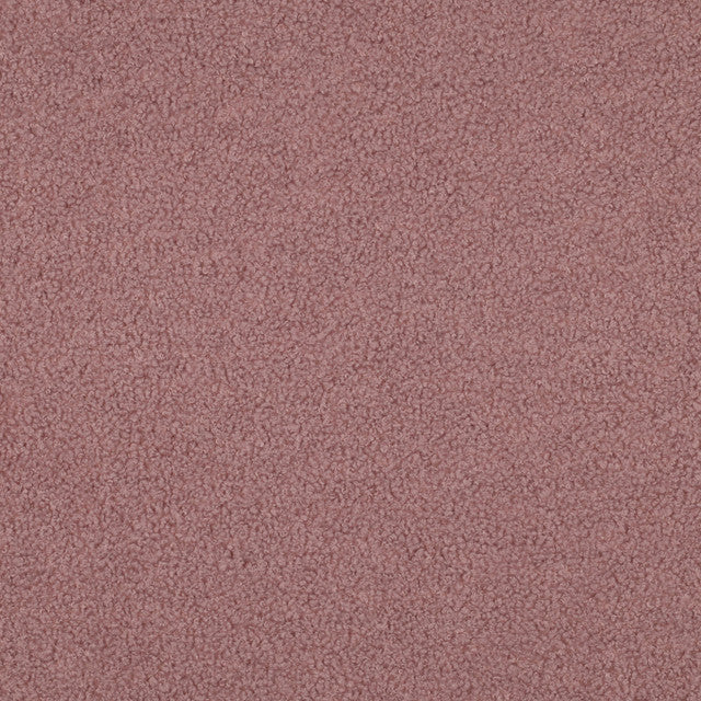 Teddy Fleece Double-Sided in Powder