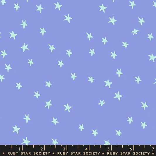 Starry in Dusk