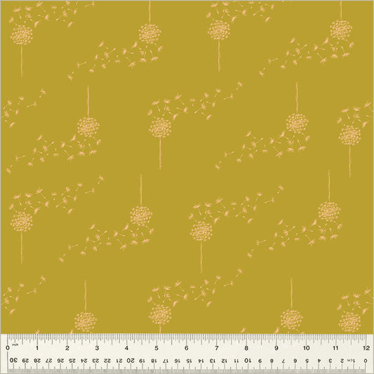 Moonlit: Wish in Brass