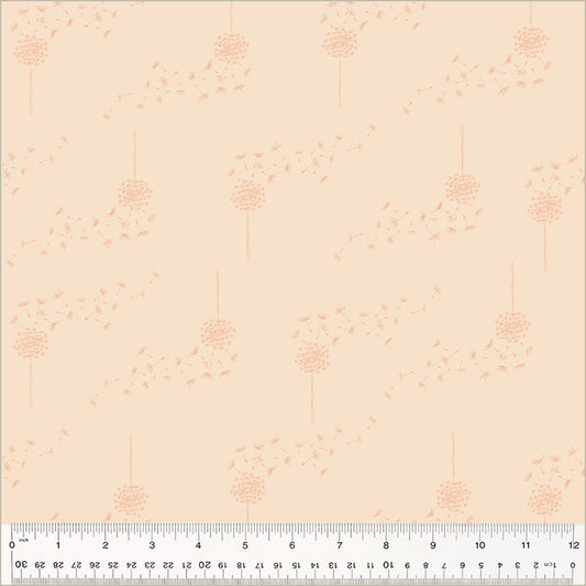 Moonlit: Wish in Shell