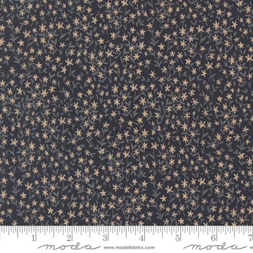 Autumn Forest: Withering Daisy in Midnight