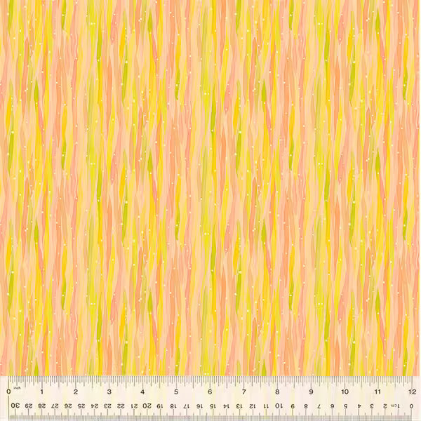 Insectarium: Rain in Salmon