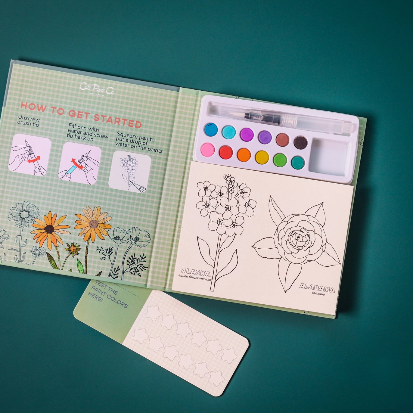 Watercolor Painting Book- State Flowers