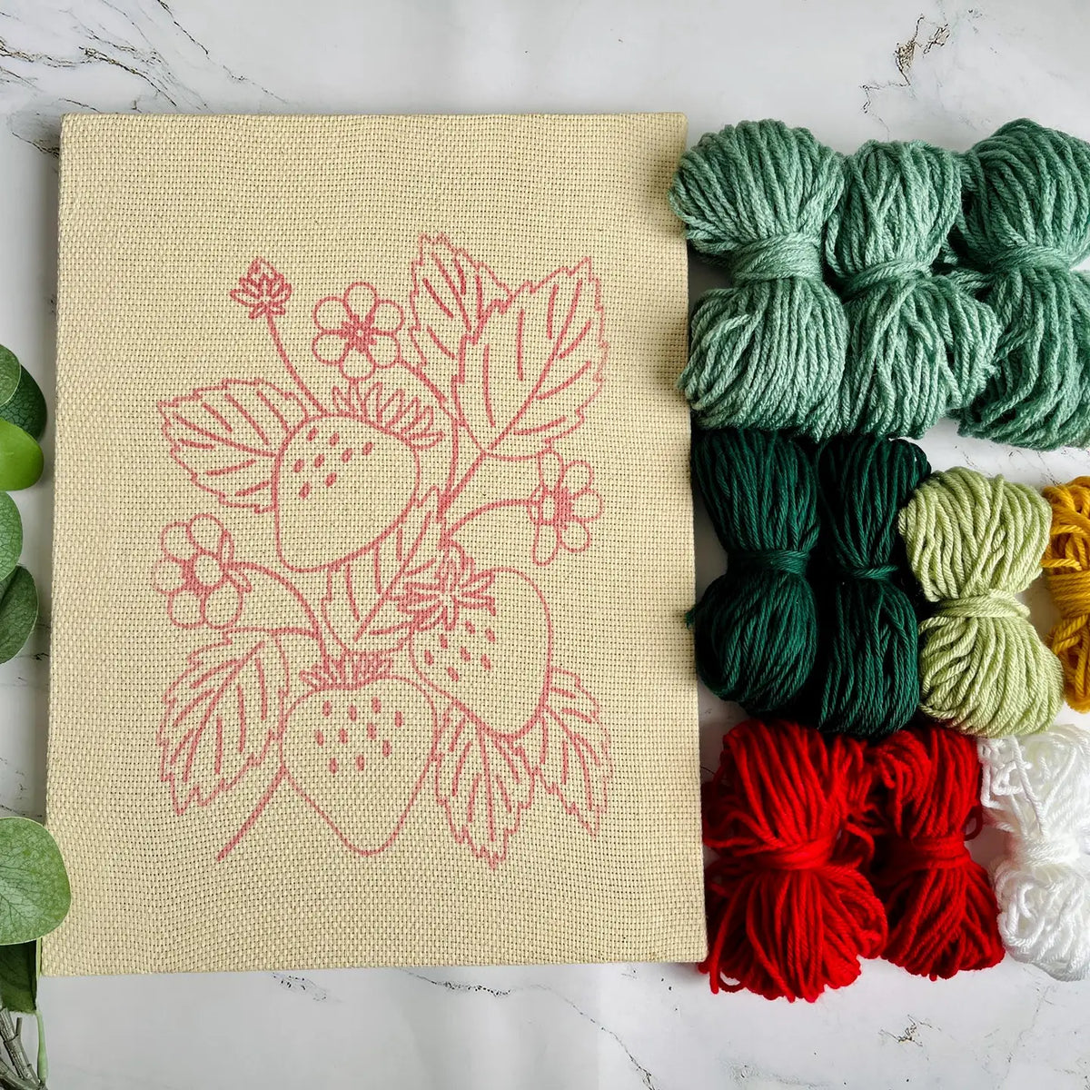 Strawberry Punch Needle Canvas Rug Hooking Kit