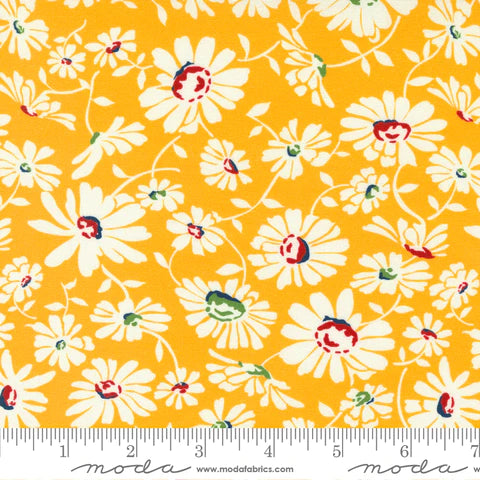 Sweet Melodies: Daisies Allover in Yellow