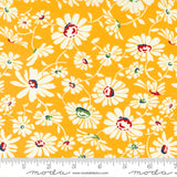 Sweet Melodies: Daisies Allover in Yellow