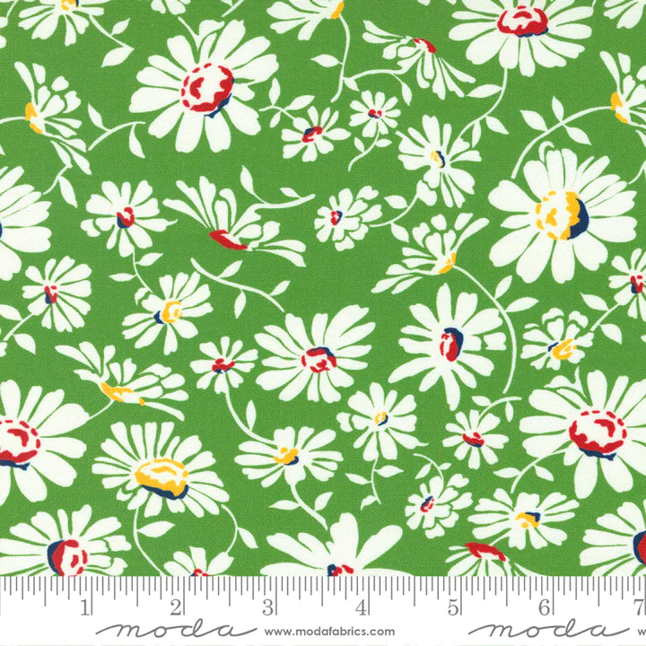 Sweet Melodies: Daisies Allover in Green