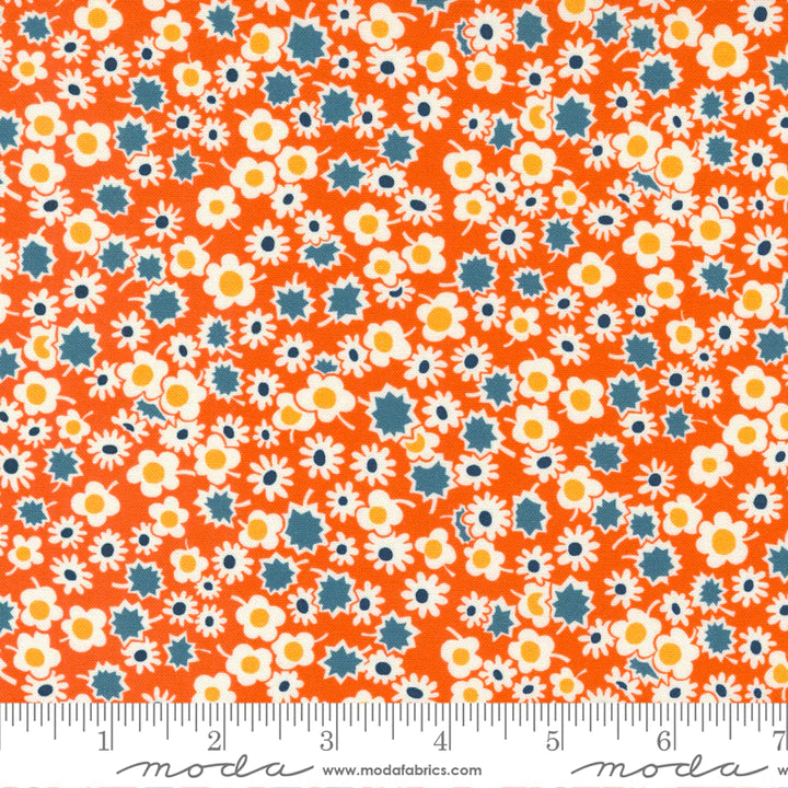 Sweet Melodies: Daisy Dots in Orange