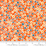 Sweet Melodies: Daisy Dots in Orange