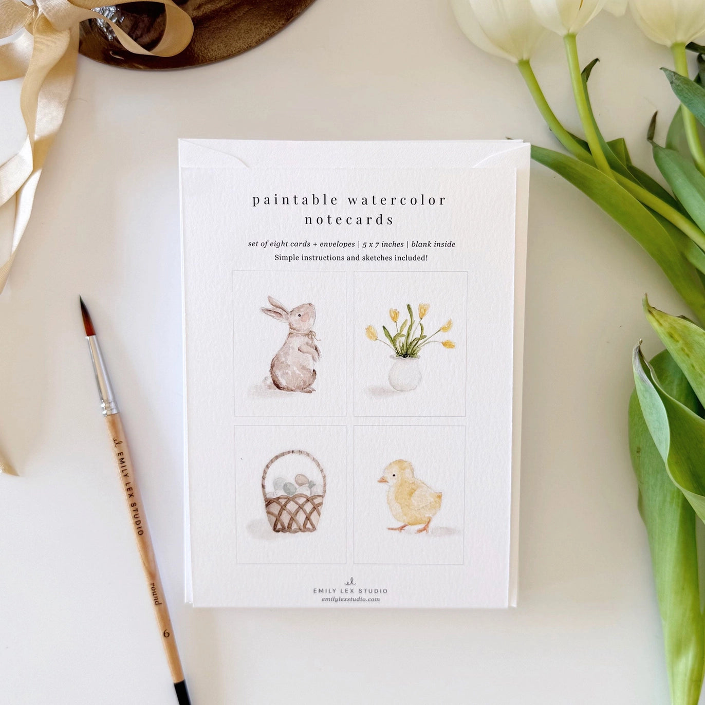 Emily Lex Studio - Paintable Notecards in Multiple Designs