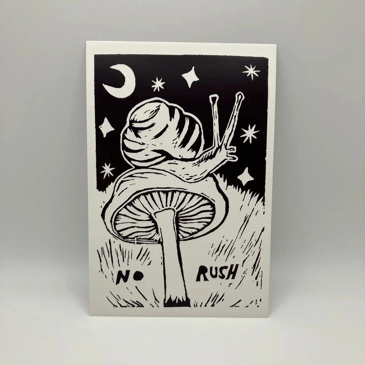 Coyote Snout Vinyl Stickers