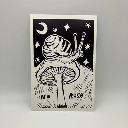 Coyote Snout Vinyl Stickers