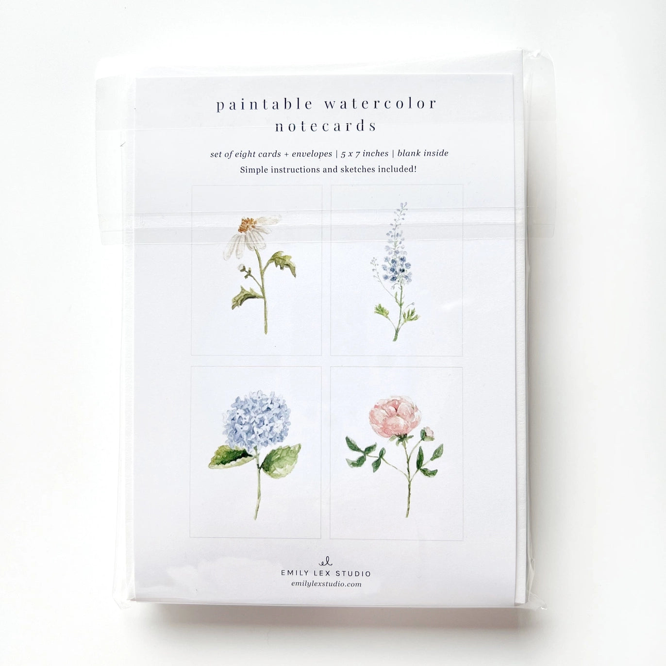 Emily Lex Studio - Paintable Notecards in Multiple Designs