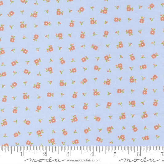 Peachy Keen in Light Blue Floral