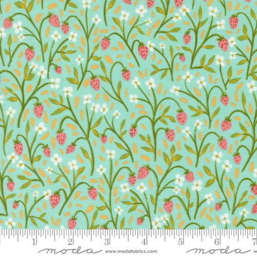 Kindred: Strawberry Meadow in Aqua