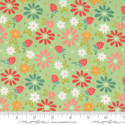 Raspberry Summer: Spring Berries in Mint