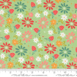 Raspberry Summer: Spring Berries in Mint