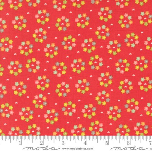 Raspberry Summer: Rosy in Raspberry