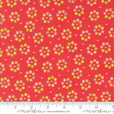 Raspberry Summer: Rosy in Raspberry