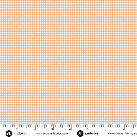 Little Ones: Gingham in Coral
