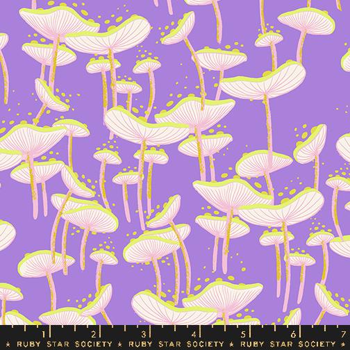Glow Garden: Fungi Whimsy in Amethyst