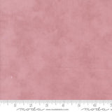 3 Sisters Solids: Orchid