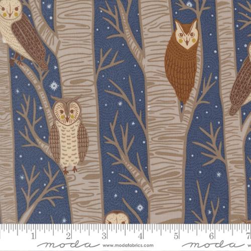 Night Owl: Tree Owls in Dusk