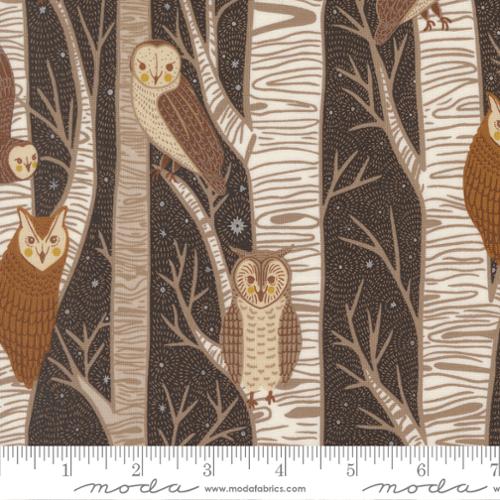 Night Owl: Tree Owls in Midnight
