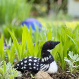 Common Loon Needle Felting Kit