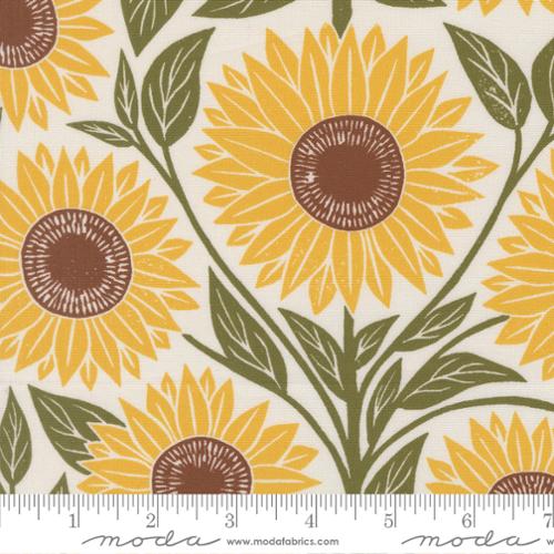 Garden Series: Sunflower in Cream