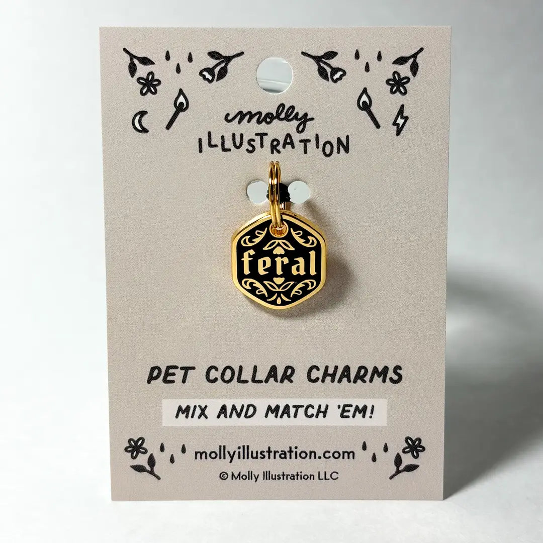 Pet Collar Charm