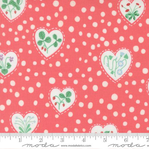 Funny Valentine: Floral Hearts in Coral
